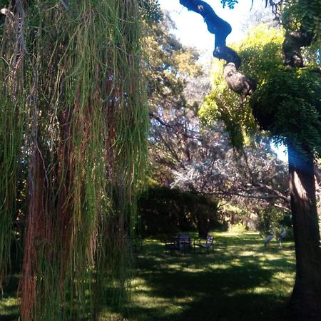 Cabana En Quinta La Aurora 미나 클라베로 외부 사진